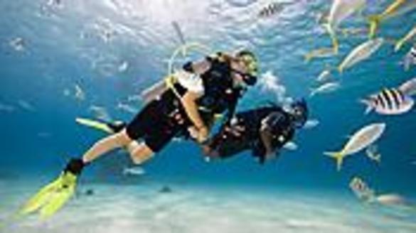 RCI Anthem of the Seas Scuba Diving Certificate.jpeg